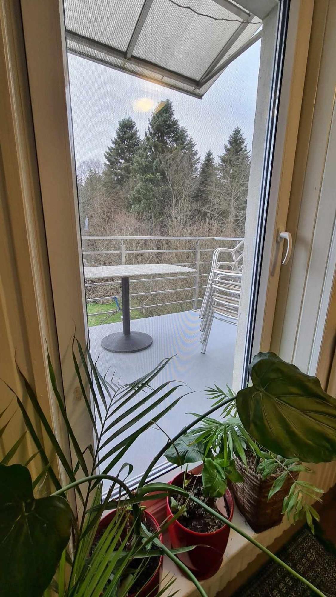 Zakatek U Poety Dabrowka Holiday home *